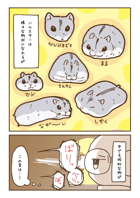 ハムスター、鉄壁の守り形状 