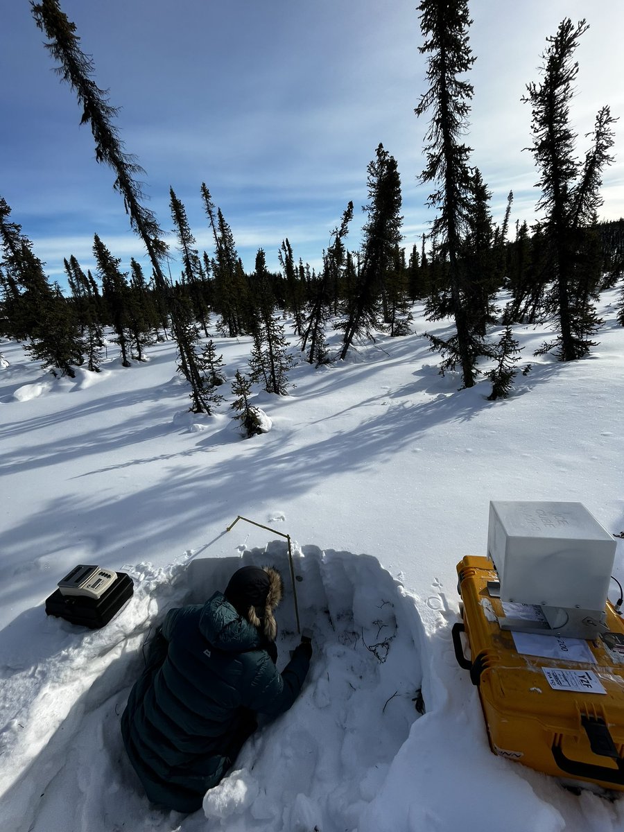 GJ_Woolley's tweet photo. Successful two days at Havikpak Creek collecting a second year of snow depth, density, SSA and SMP measurements. Tomorrow we head to TVC ❄️ https://t.co/2yDak8bOD9