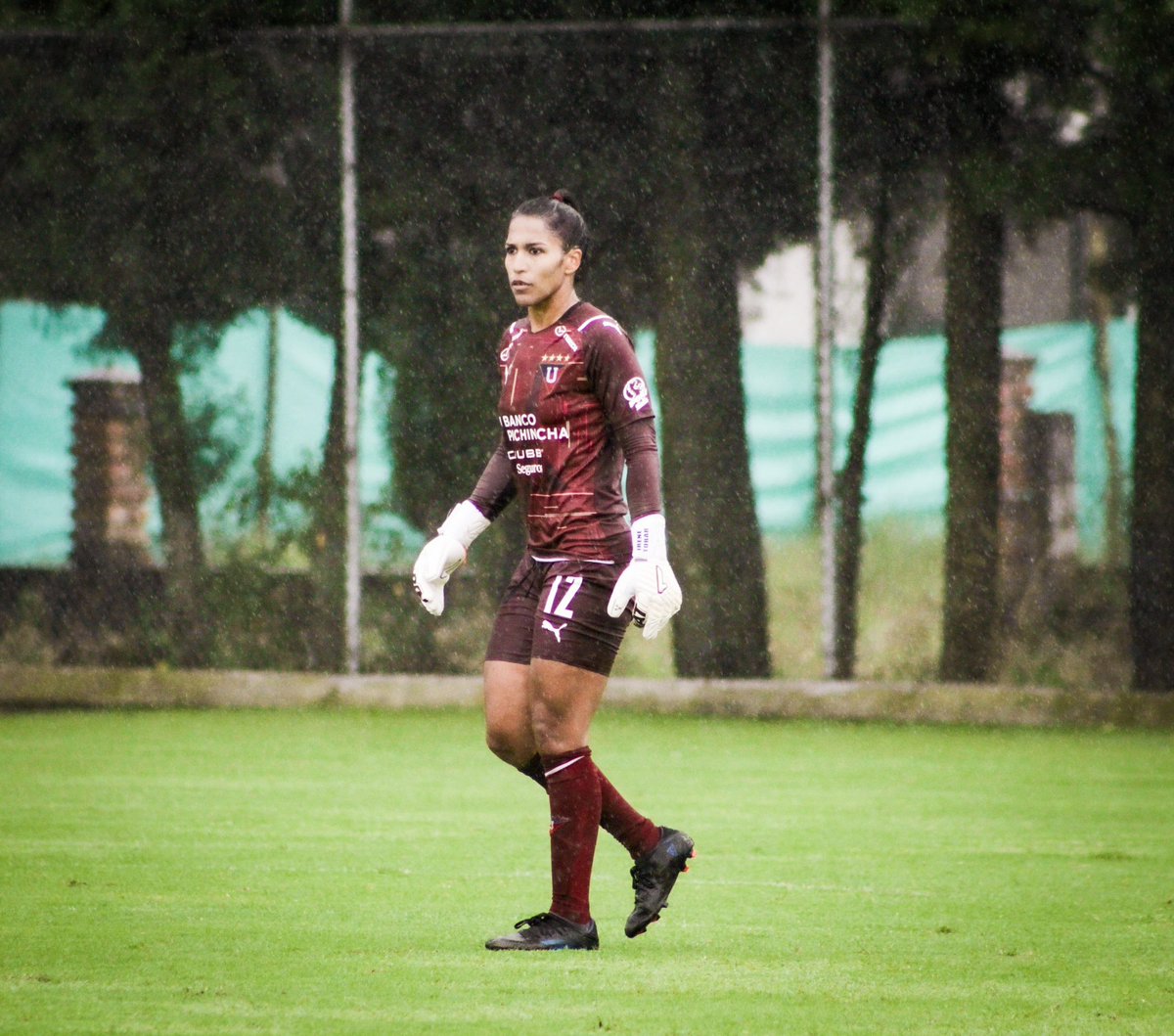irenetobarmera's tweet photo. Espíritu de cuerpo, valiente de corazón.
Mujer Valiente. 👧🏽💪🏽⚽️
Dios es bueno.
📸 @_analiagd
📸 @GuerrerasLDU
🧤 @RinatOficial
#dios #mujervaliente #irenetobar #fútbol #goalkeeper #copachubb #picture #photooftheday #soccerlife #lluvia #rainphotography #quito https://t.co/EAVvB97ZOP