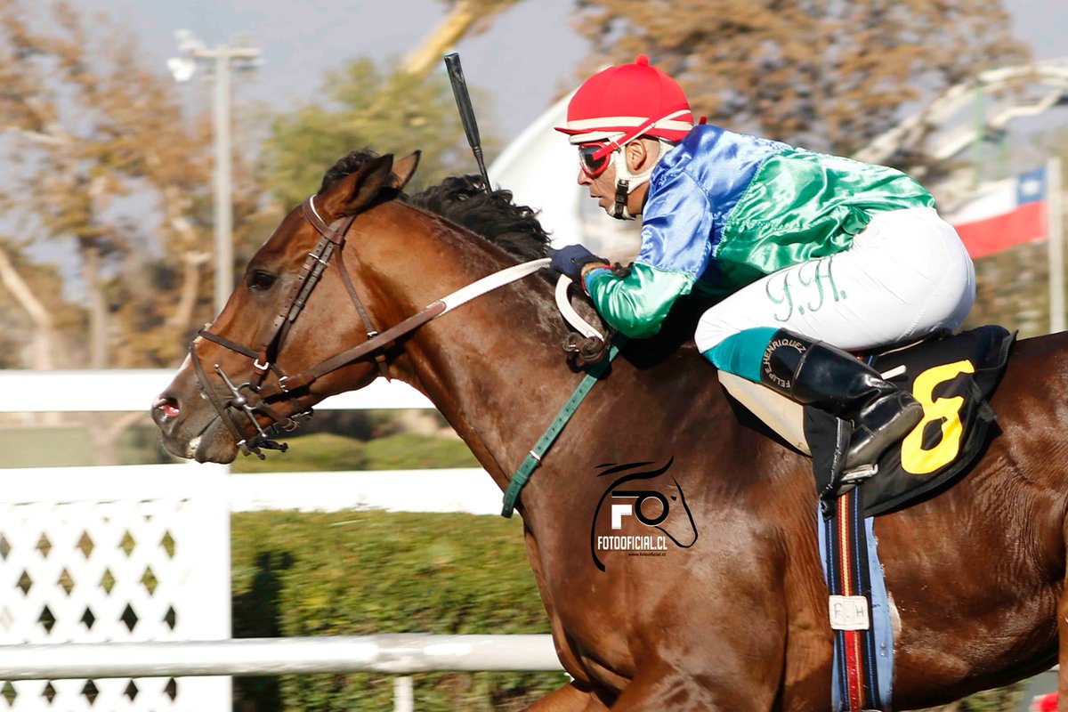 Snooker y Stronger, un-dos perfecto de Matriarca
Los hijos de Constitution y Strong Mandate no estaban entre los favoritos del clásico hándicap libre Robert Bruce. instagram.com/p/CqMCZiBpkJS/