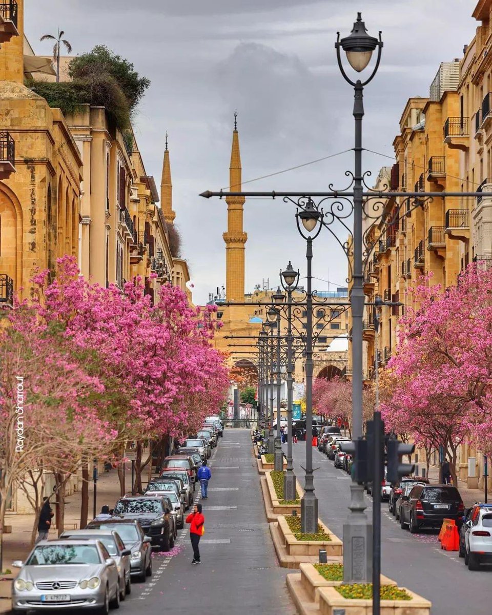 صباح الخير يا بيروت في فصل الربيع. سارجع اليك في الشهر المقبل. مشتاق لك كثيراً. بيروت حلمي!