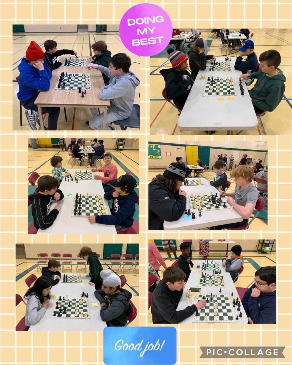 Mme Aversa tweet media