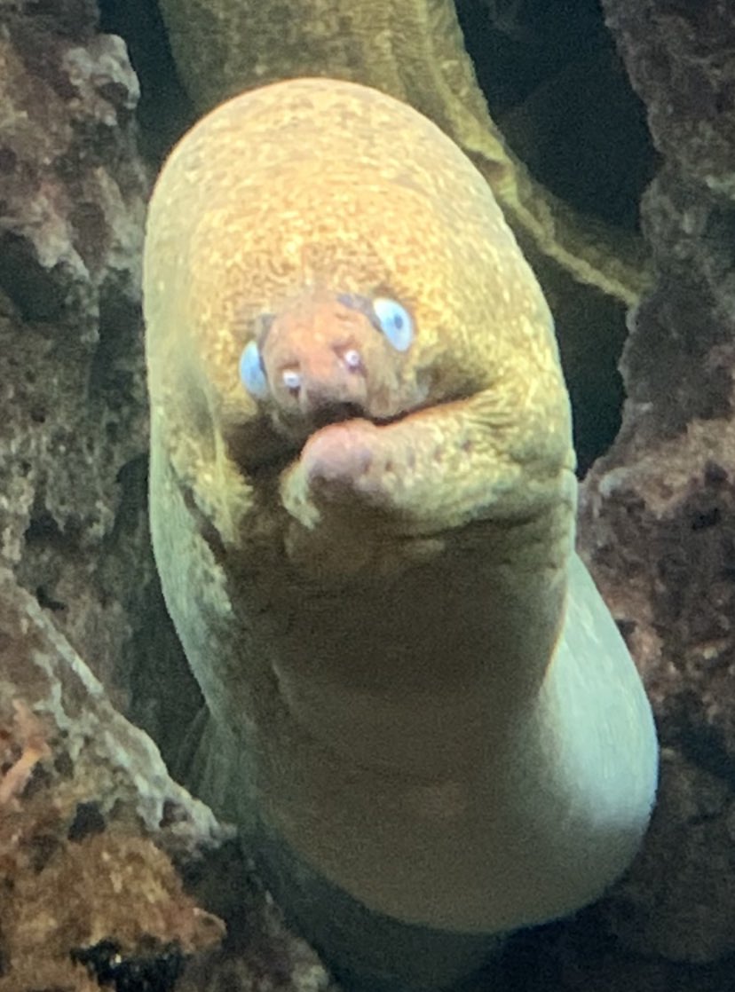 krustyelise tweet media