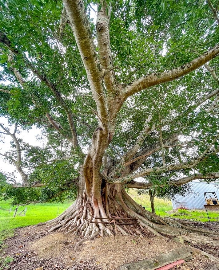 Need Time Away tweet media