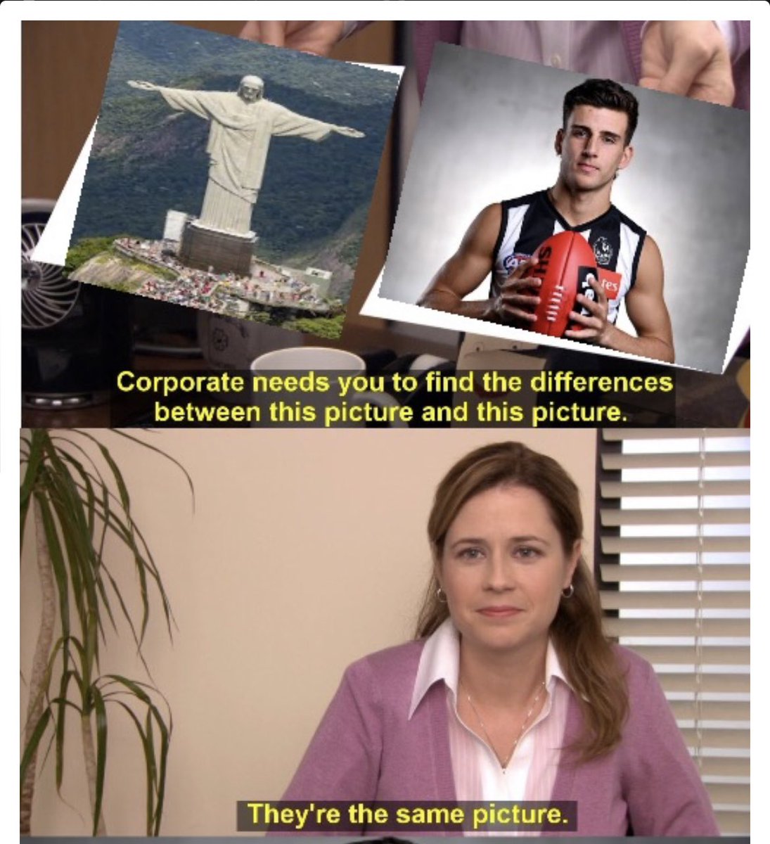 W.Bat 🐻 tweet media