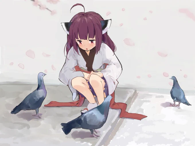 鳩 