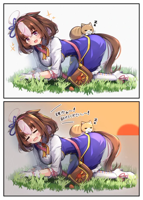 今年も素敵な1年になりますように🐎🐈
#メイショウドトウ生誕祭2023 