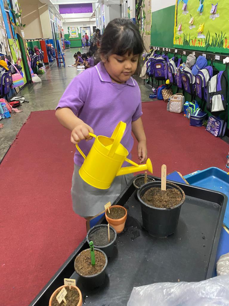 Planting is so much fun when we do it together.
#Year1ChildrenLoveScience
<a href="/jsyear1/">BSC_JSYear1</a> <a href="/BSColomboLK/">British Sch Colombo</a> <a href="/BSC_JSHead/">BSC Junior Head</a> <a href="/BSC_Principal/">BSC Principal</a>