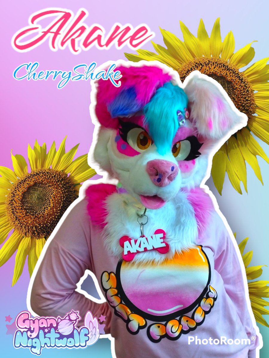 Akane CherryShake🩷

Fur: <a href="/GyanNightwolf/">Gyan Tlapetlani🌱</a> 

#FursuitFriday #fursuitmaker