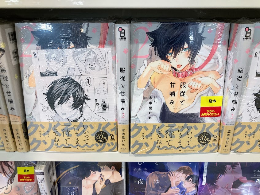 書籍新刊情報】 #志木見ビビ 先生『服従と甘噛み 2』が入荷しました