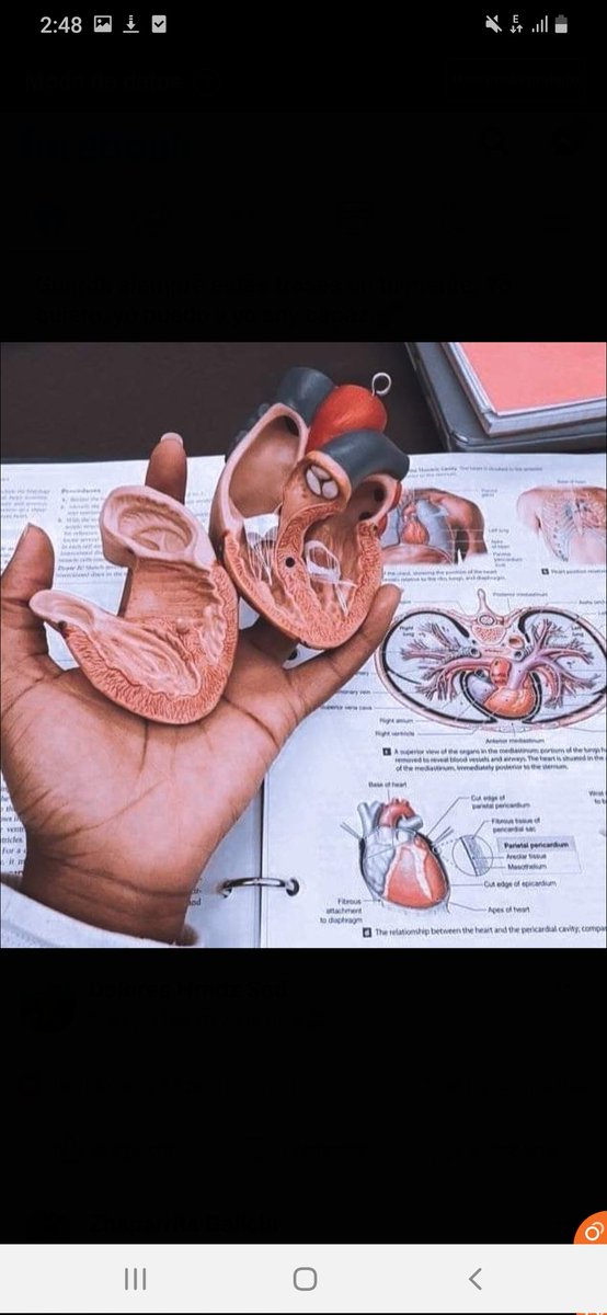 AnatomiaEl7499's tweet photo. Estudia no para sorprender a los demás, sino para que puedas  mejorar en lo que haces. https://t.co/K0XHvcU0tJ