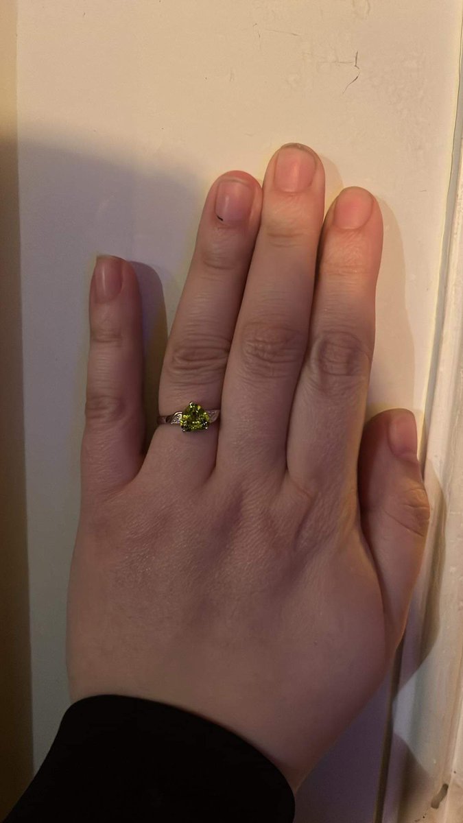 shownerd_Amanda's tweet photo. Mr Nerd finally formally proposed after 17 years and two gremlins. He was gonna propose after the concert Tuesday but he left the ring in the truck.

I’m glad he did cuz a public proposal like that would’ve killed me. https://t.co/mBMYzEYqfs