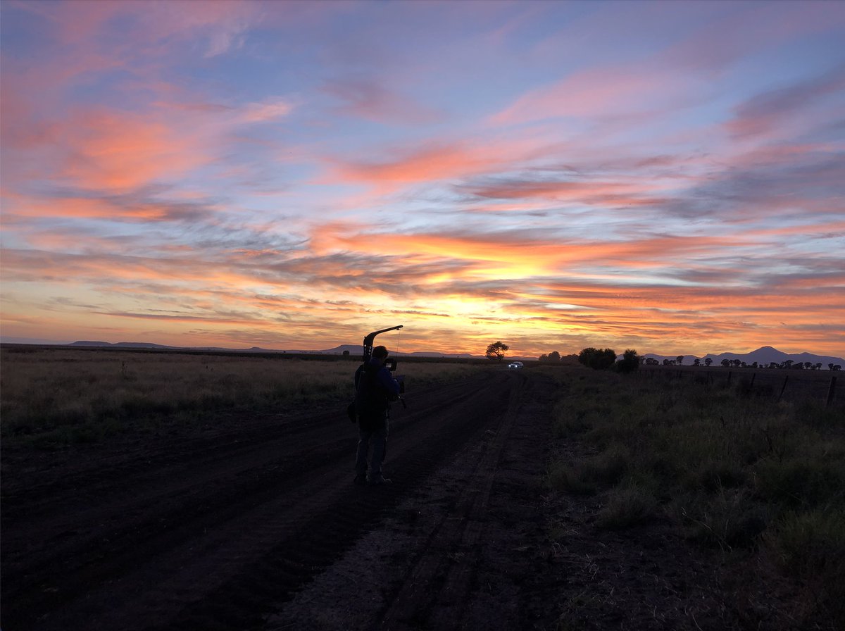 cussonsmedia's tweet photo. This sunrise was a spectacular way to start our day in Narrabri for a shoot based on Indigenous Grains. This is a truly fascinating project, and just look at that sky! We can’t wait to see this vision come to life 🌄🌾🎥

#australianagriculture #videocontent #sunrise #narrabri https://t.co/gLpTSA9xis