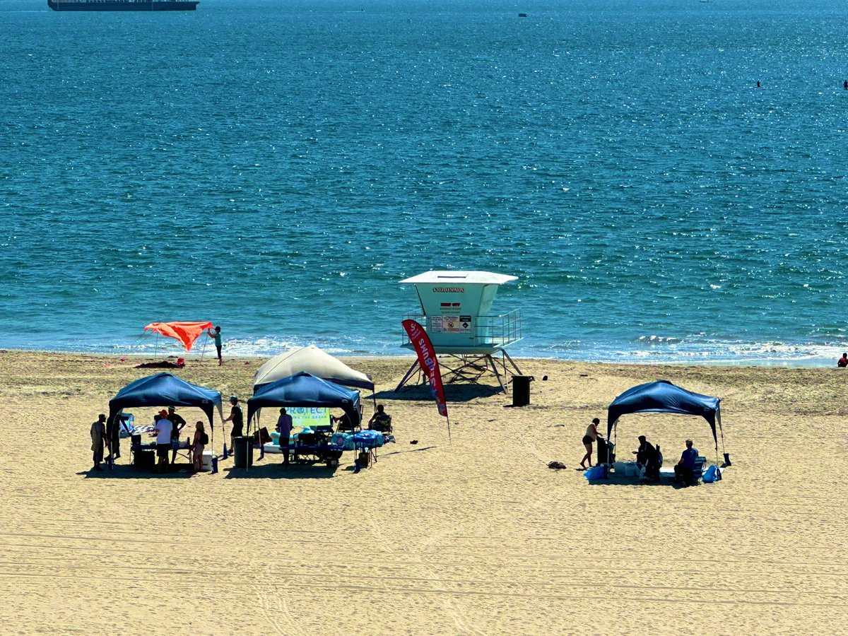 NFTCleanUp's tweet photo. Have you been to an NFT Meet Up/Clean Up before?

Next one of mine is Sunday April 16th. Huntington Beach, CA from 11am-4pm PST.

- IRL Social Event
- FREE Food
- Clean Up Materials Provided
- 25+ NFTs Raffle
- Feel Good Cleaning Mother Nature
- Enjoy Day at the 🏖️

Flyer on 4/1 https://t.co/CNl1RV7YLP