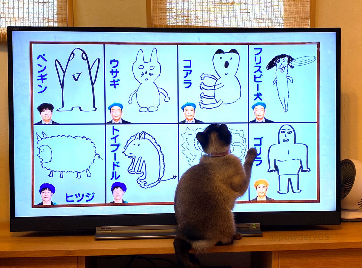 絵心ない芸人の絵が気になる 