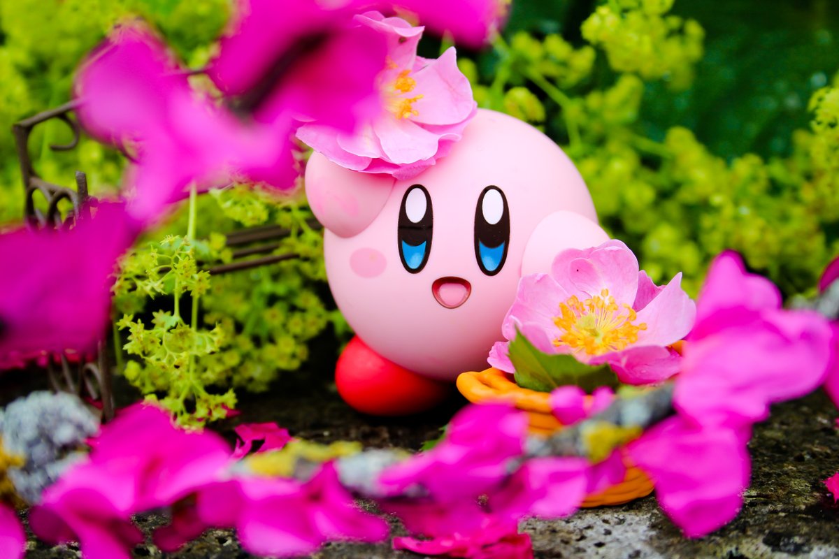 Nintendo AU NZ tweet media