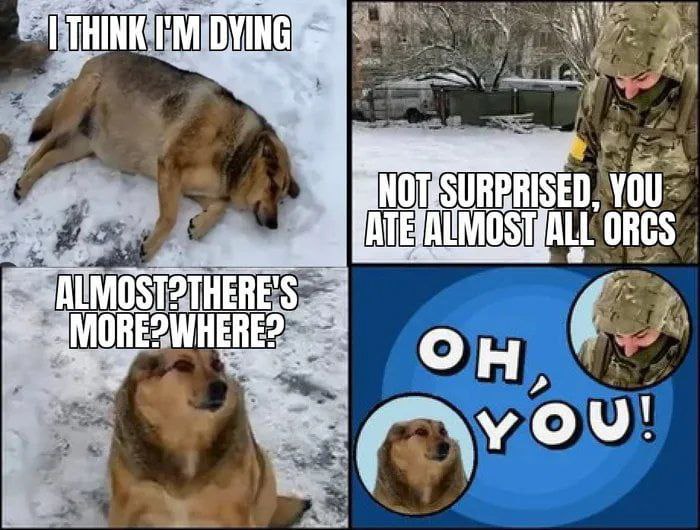 Совершенно внезапно расхохотался