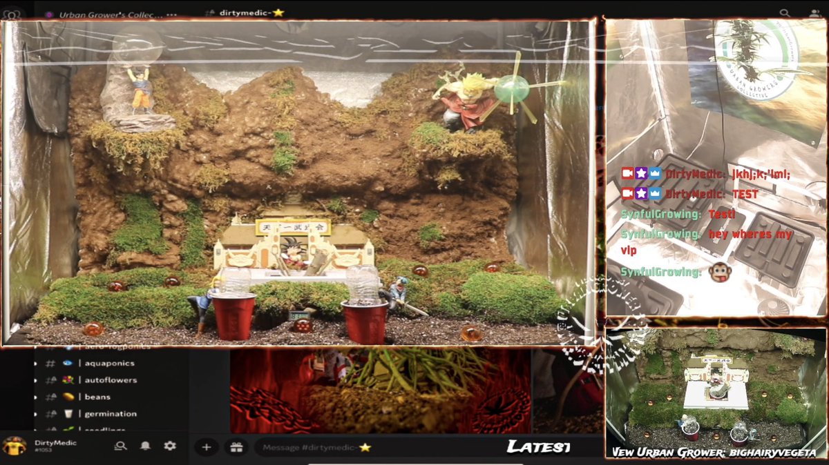 Dirty_Medic's tweet photo. Cannabonsai season 5 “ The Super Saiyan Saga!” Come follow me on my bonsai journey, channeling my #PTSD through creativity. #Mmemberville #CannabisCommunity #420community #follow #DragonBallZ #RetweeetPlease #twitch https://t.co/uGHErHGi95 https://t.co/W9ETD2xD7x