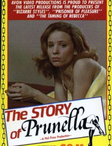 Film Pervert tweet media