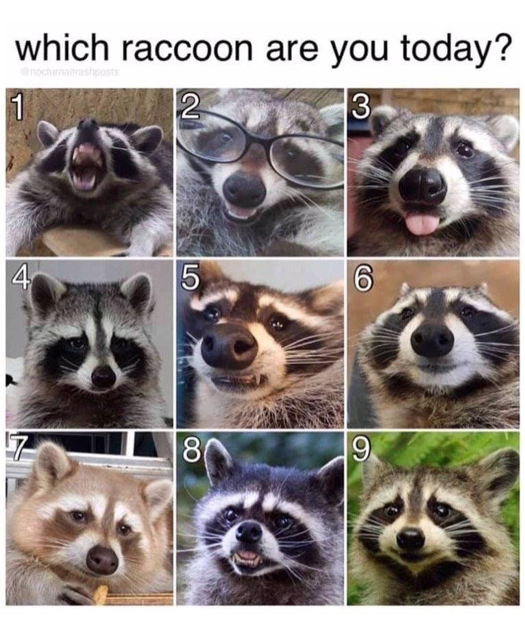 BDaveWalters's tweet photo. I'm a strong 9 tbh https://t.co/jFN2wHnBtZ
