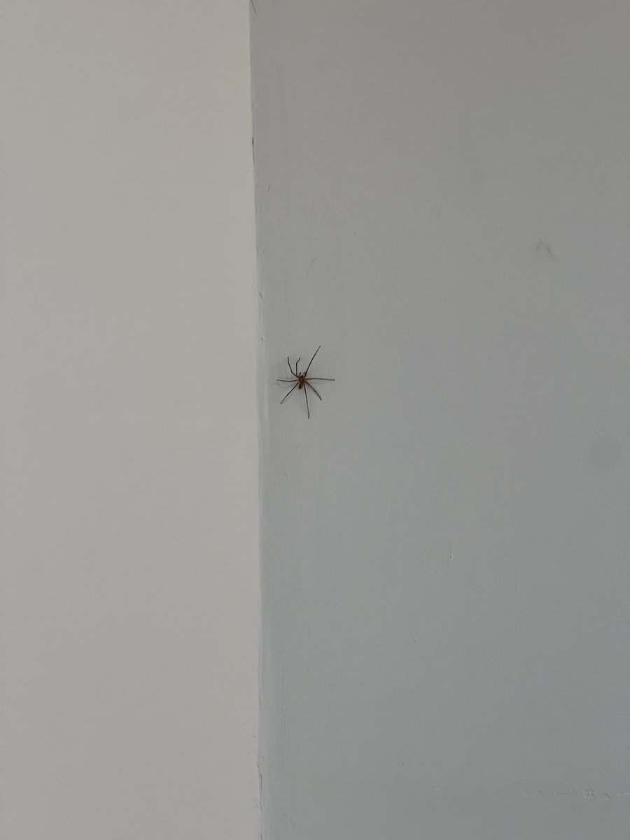 Dalileo Dalilei tweet media