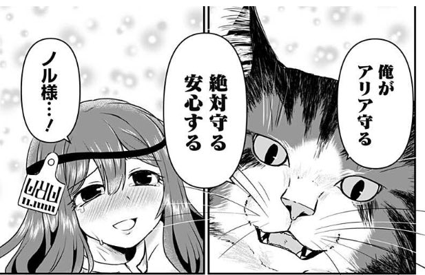 今週のお気に入りノル様とサイーアちゃん🐈
#ジャンププラス https://t.co/mXWhXeCBc1