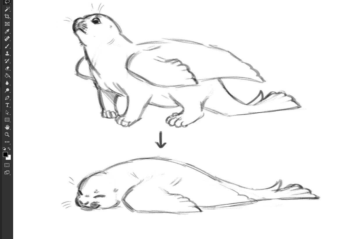 dragon -> seal