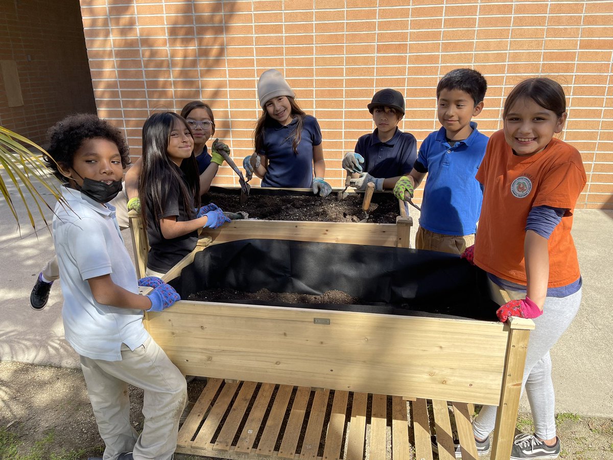 M. Hinton tweet media