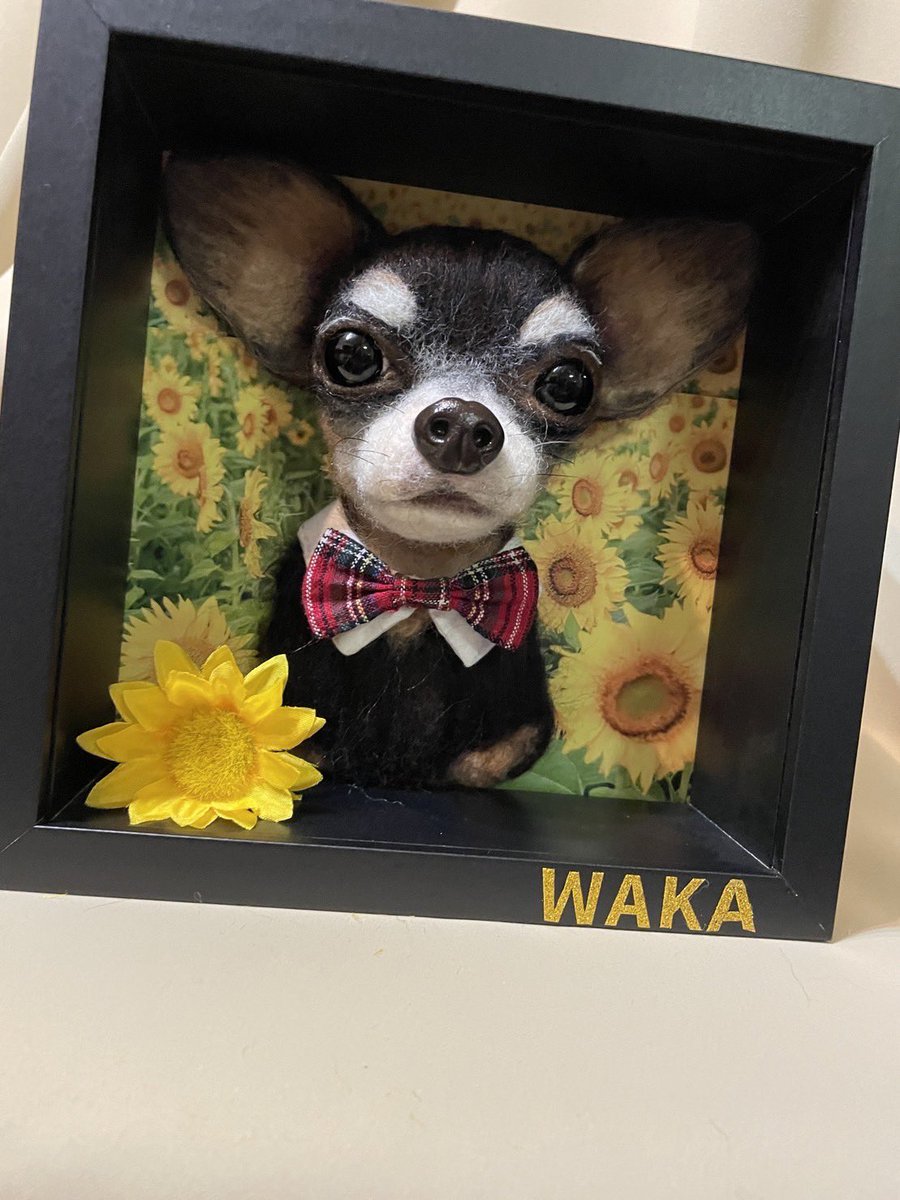 AzukiKinako4's tweet photo. 2019年の年末に🌈を渡ったwakaくん🐕💕
私の人生を変えてくれた大切でかけがえのない🐕❤️
友人の妹さんがフェルト人形を作成してるのを知ってwakaくんをお願いしました✨
本当に素晴らしい✨
有難うございます🐕♪
１枚目の写真を参考に作成して頂きました❣️ https://t.co/TlzZRWJTmm