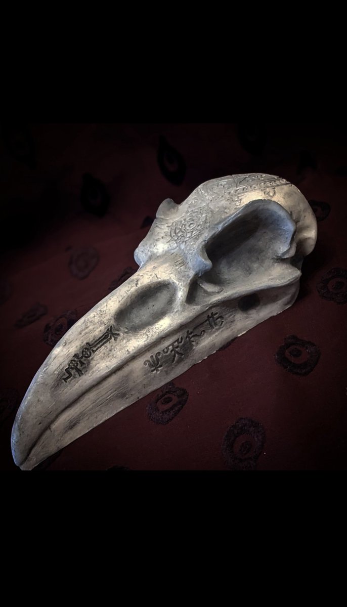 SempleWitcher's tweet photo. Raven skulls 🖤
#Ravens #raven #skull #skulls #SmallBusiness https://t.co/KKJGgJnHz2