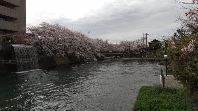 天気が微妙ですが聲の形で出てきた水門川。 