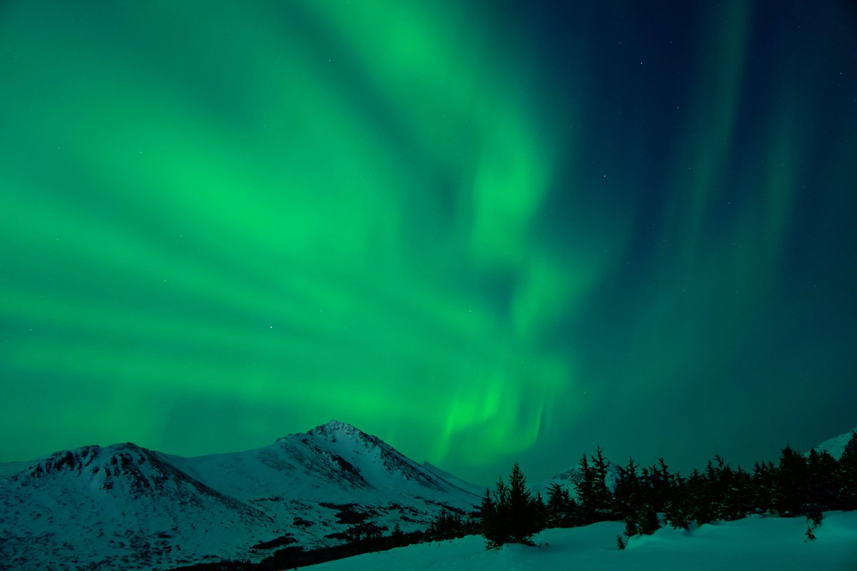alinagonchara's tweet photo. Anchorage, AK 3.23.23 https://t.co/TRIjWpdgbn