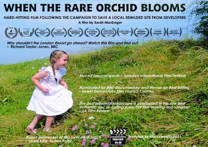 Shout out to
<a href="/agalleryartists/">A Gallery</a>
@RCBridgestock 
<a href="/WHS/">whs</a>
@RussekVivian
@thegreenblogs
<a href="/sumuelahi/">Sumu Elahi</a>
<a href="/NydiaLuke3/">Kelly Bernard</a>
<a href="/TheDrewCarson/">Drew Carson</a>
Thanks for following <a href="/FilmCafeCoOp/">Film Cafe Co-Op</a> from the team👍
it's appreciated look forward to finding out more about your work : some posters from some recent work: