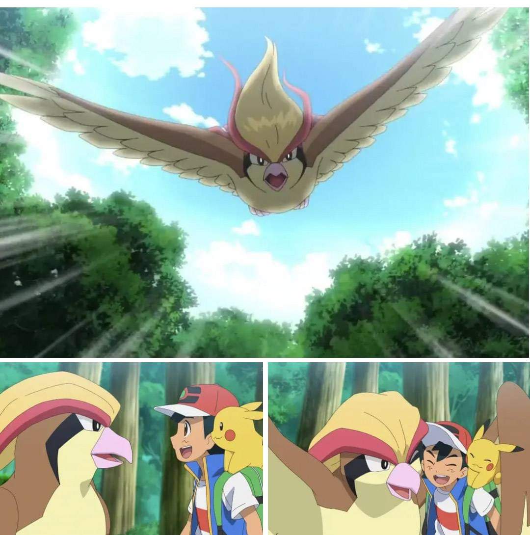 CharizardRonin's tweet photo. The fact that they waited this long for the og regional bird to show up proves that pokemon journeys had way more wasted opportunities then it was aware of!
#Pokemon #anipoke #PokemonScarletViolet https://t.co/v13wTNtusB