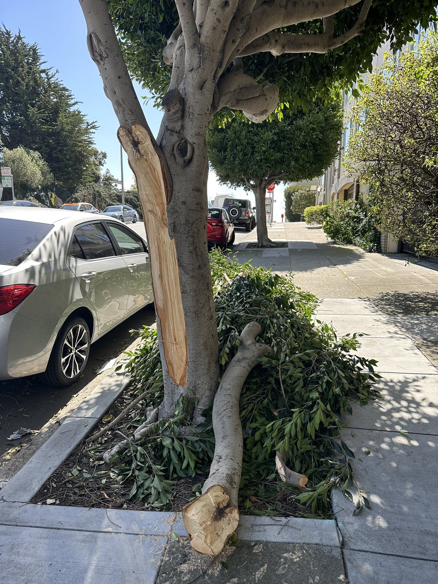 Lorenabrtn's tweet photo. San Francisco, Californie ce 22 mars, au lendemain du cyclone extra-tropical. #fujiwhara #bombcyclone https://t.co/zbaj3pmLWp