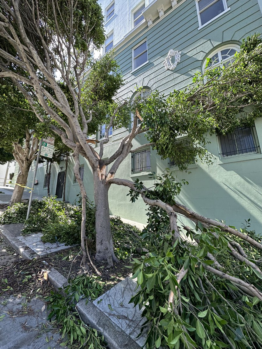 Lorenabrtn's tweet photo. San Francisco, Californie ce 22 mars, au lendemain du cyclone extra-tropical. #fujiwhara #bombcyclone https://t.co/zbaj3pmLWp