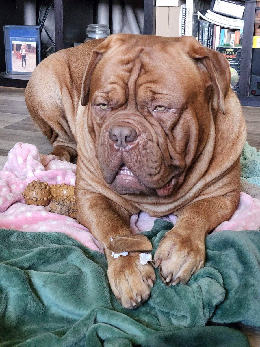 Graham Perrett tweet media