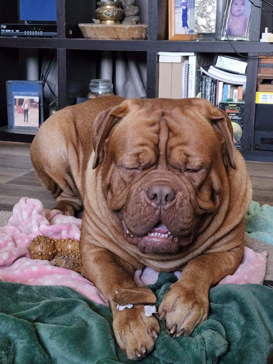 Graham Perrett tweet media