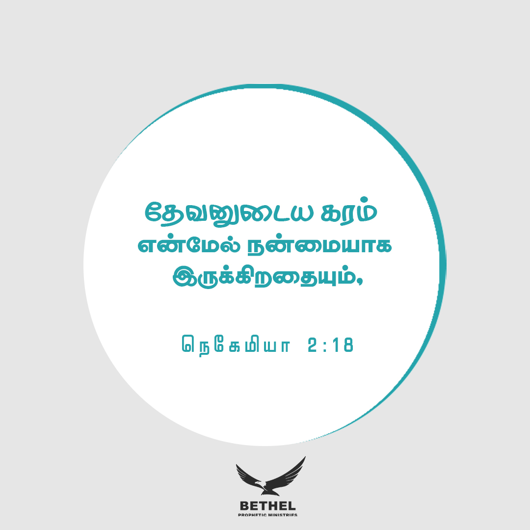 Daily Blessings
.
.
#dailyverse #godsplan  #godisgoodallthetime #jesuslovesyou #jesusislord   #promise #gloriousgoldens #christ #christianverses #biblequotes #bibleverses #tamilchristiannetwork #tamilchristiansong #jesusislord  #jesus #jesuschrist #christiannetwork #Blessings