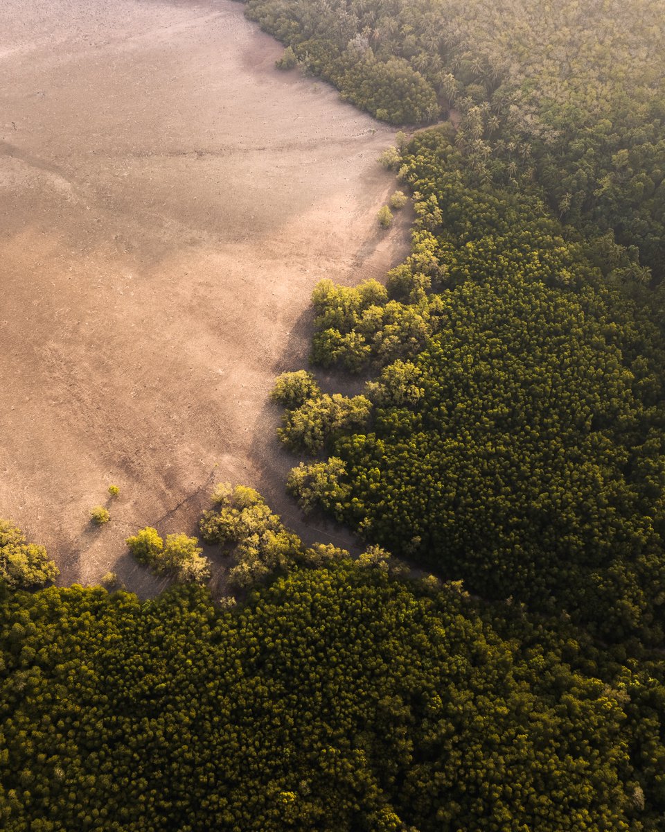 Al__Mills's tweet photo. A collection of aerial images from the beautiful island of Koh Yao Noi here in Thailand 
#Thailand #thailandsocialawards11 #EarthHour2023 https://t.co/sA2GFwjzmW
