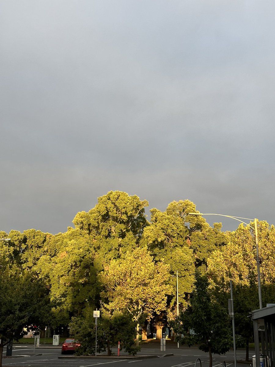 XOXO GOSSIP GLADZ tweet media