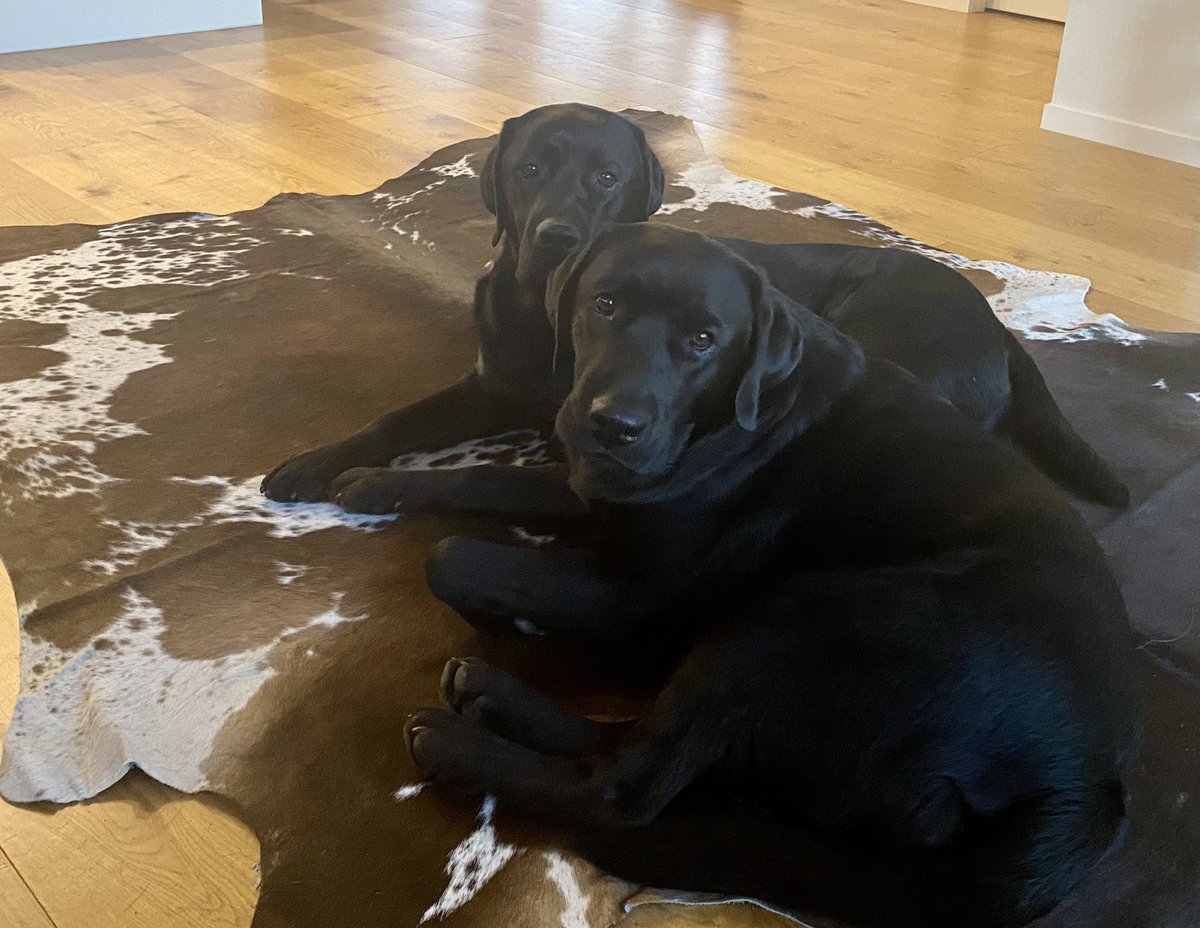 Lisa Payne tweet media