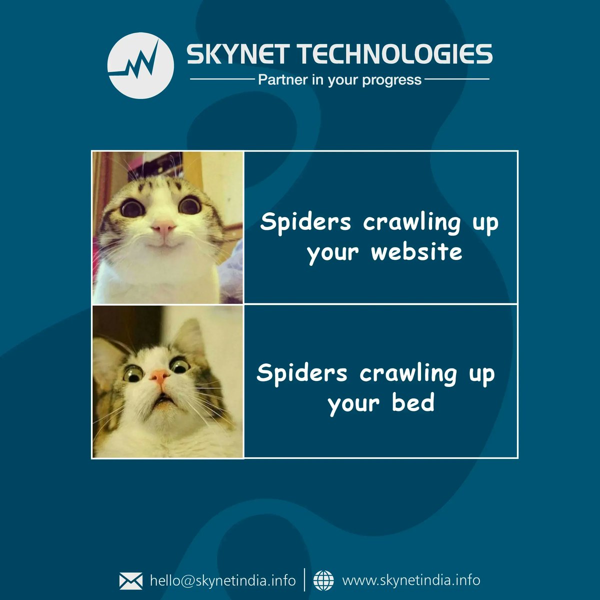skynetindia's tweet photo. Spiders crawling up is good only for your website! 

#Crawling #SaturdayFunny #SEOFun #SEOMemes https://t.co/QVss3T9hok