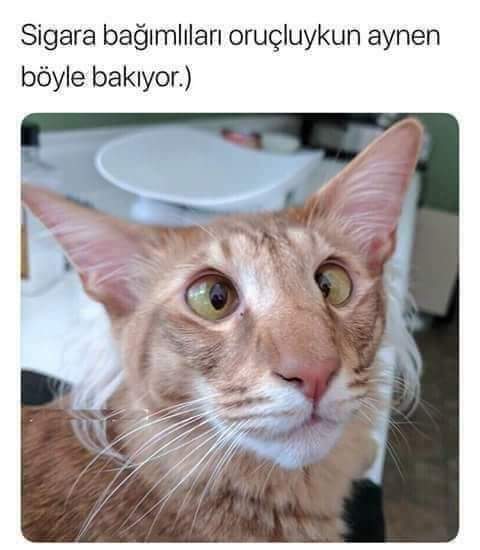 😁😅