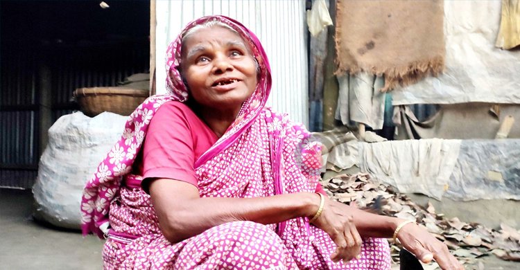 জীবিত হয়েছেন ২৭ মৃত, কাজ চলছে ২০৩ জনের ‘প্রাণ ফেরানোর’