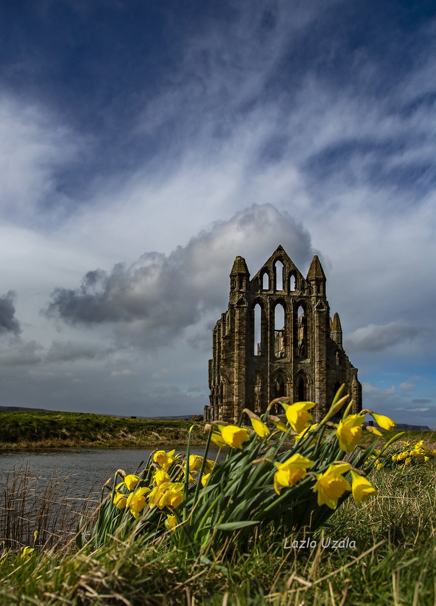 Whitby Abbey #Whitby #Abbey #WhitbyAbbey  #Daffodils  #northyorkshire #yorkshire  #StormHour #clouds #ruins #placeofhistory #history