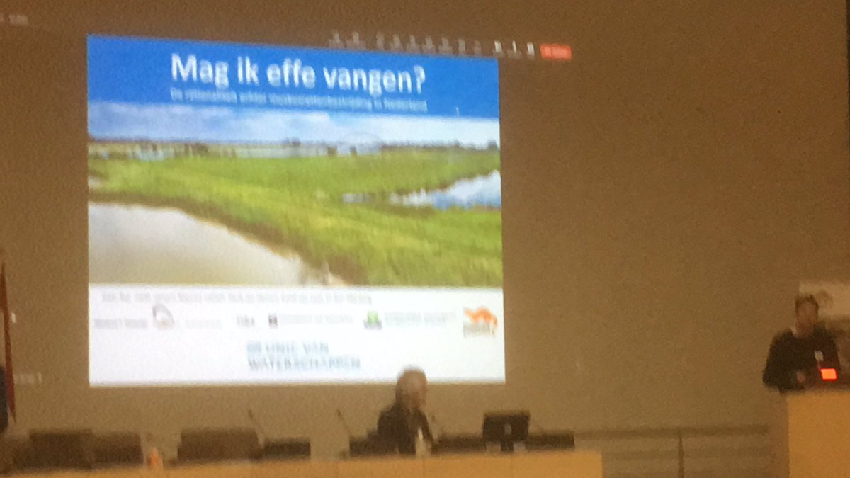 Zoogdierverenig's tweet photo. Over het vangen van #muskusratten en waarom dat gebeurt @waterschappen @altwym #zoogdierdag2023 https://t.co/O8sFsvR5mo