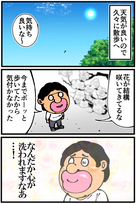 散歩中に見つけた小さな可愛い実の正体 