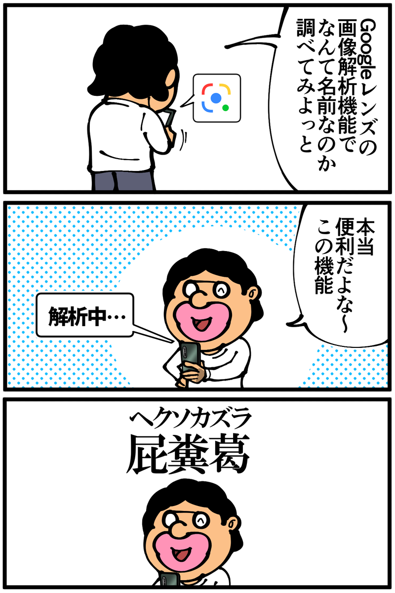 散歩中に見つけた小さな可愛い実の正体 