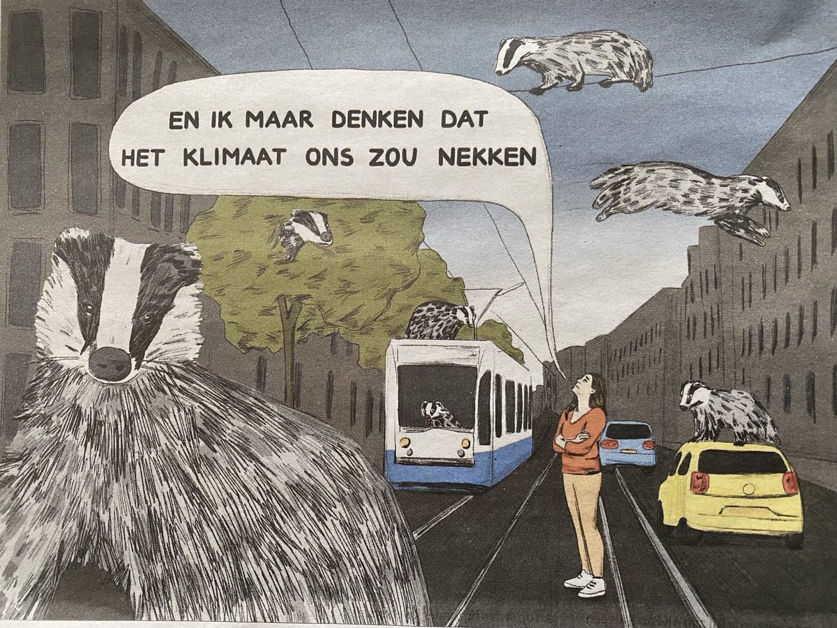Een mooi Jip van den Toorn in de ⁦<a href="/volkskrant/">de Volkskrant</a>⁩